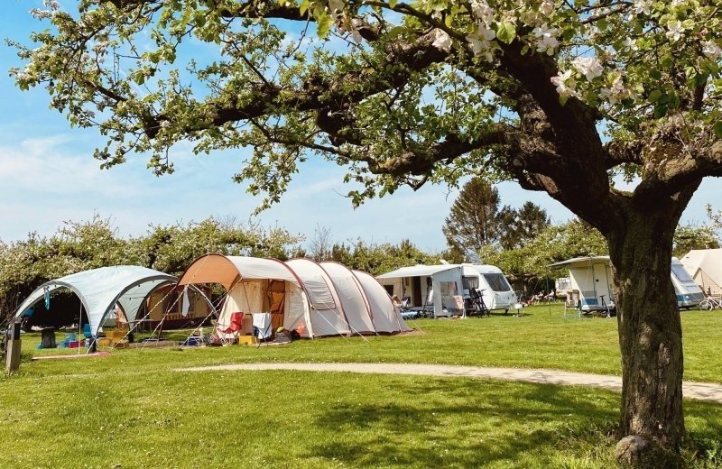 0 buitengoed de boomgaard kamperen 43