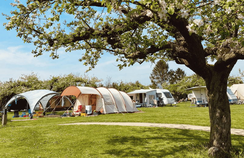 Nog kamperen met Hemelvaart? Dit is je kans