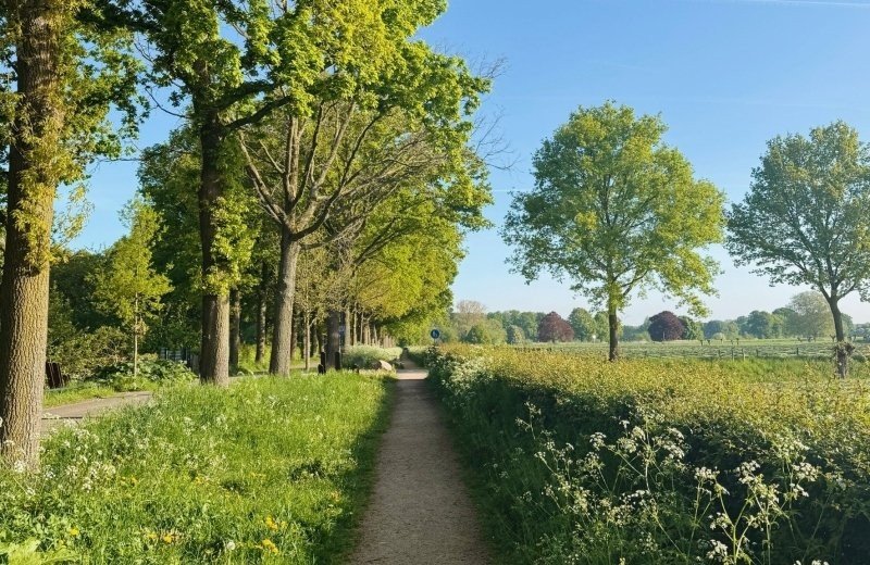 De beste fiets- en wandelroutes