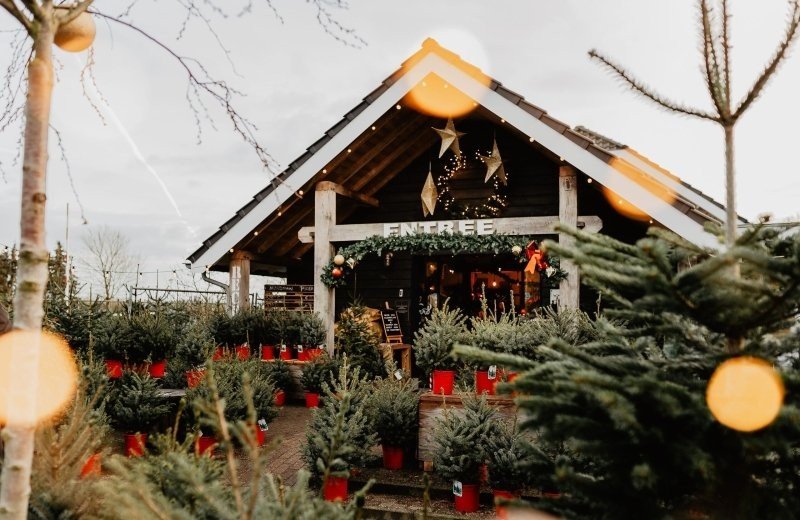 Buitengoed kerstbomen kerstplein 128