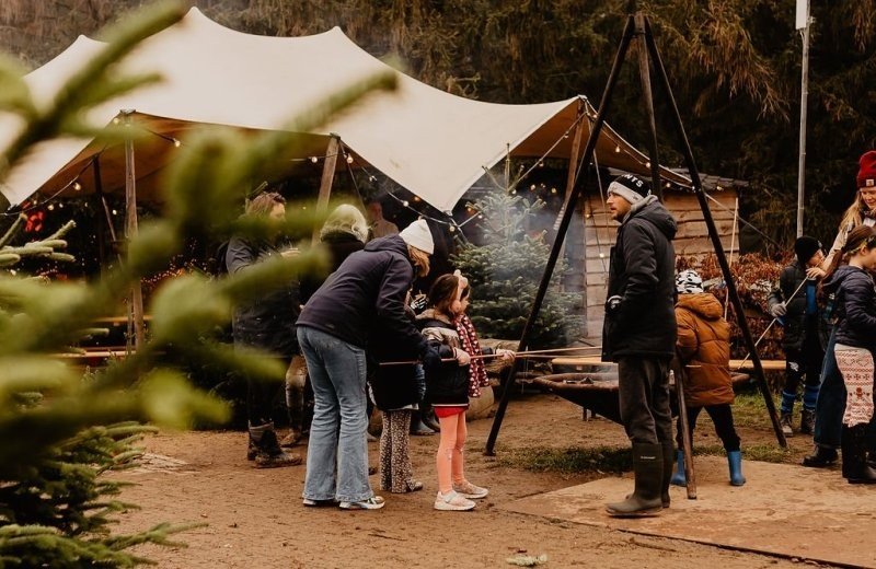 Buitengoed kerstbomen kerstplein 81