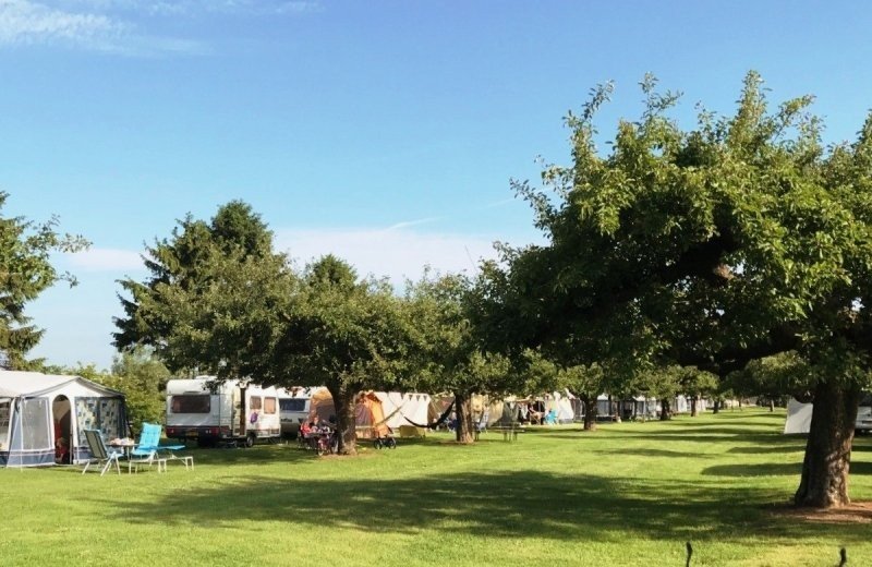 Seizoenplaats standaard